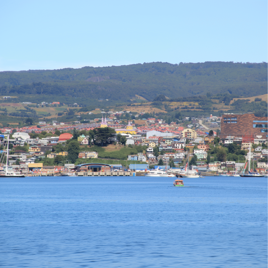 Campo 11 has.Ancud y Castro
