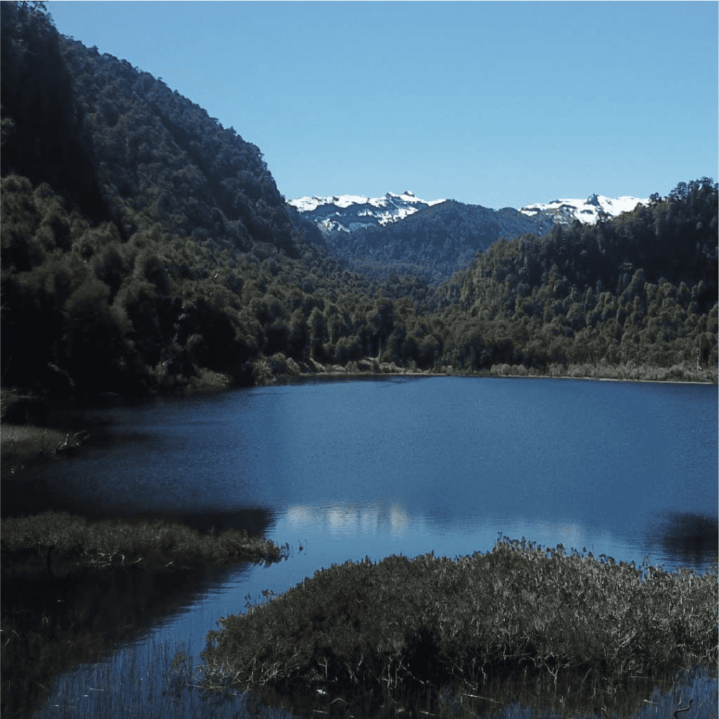 Curralhue - Río Bueno
