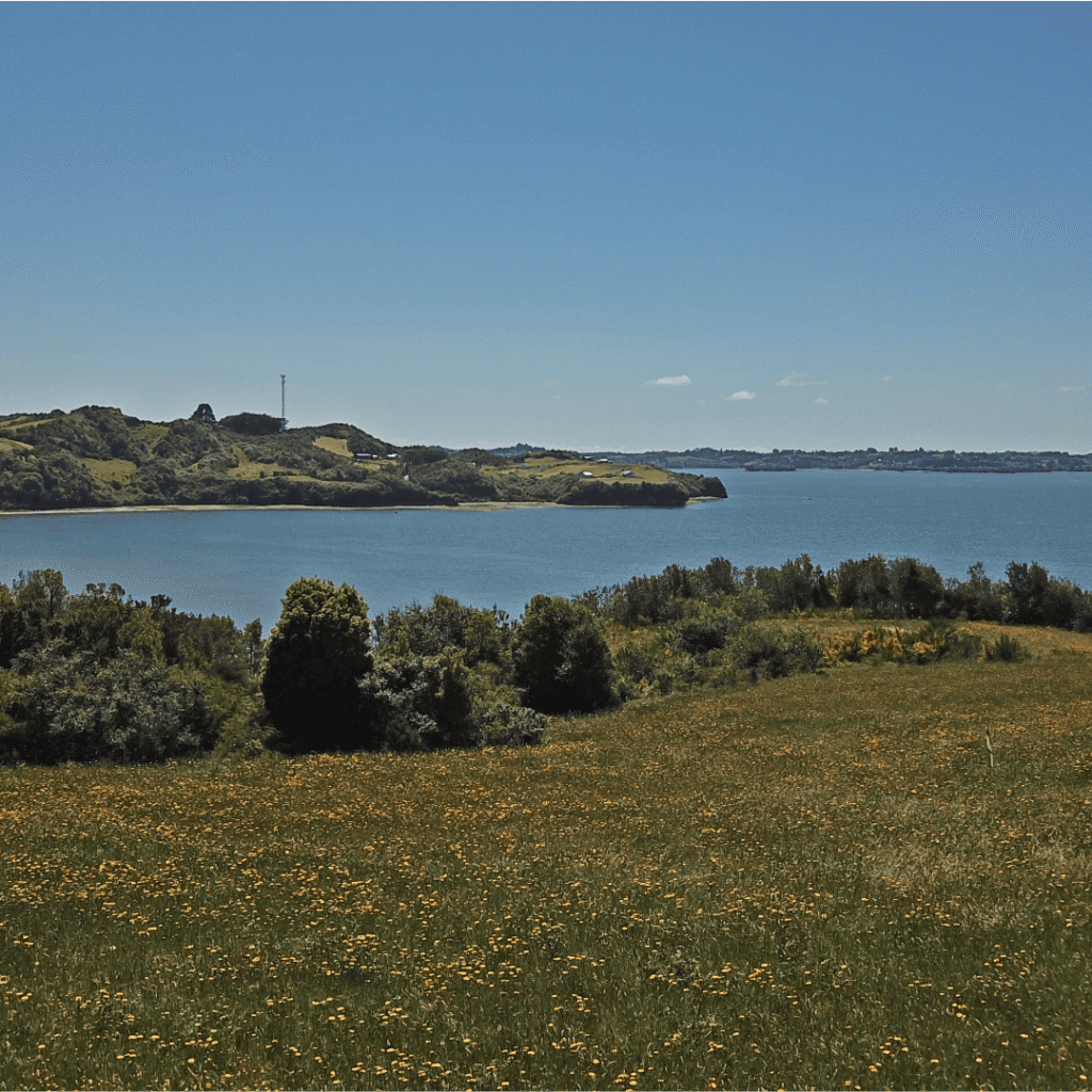 Punta Lacuy
